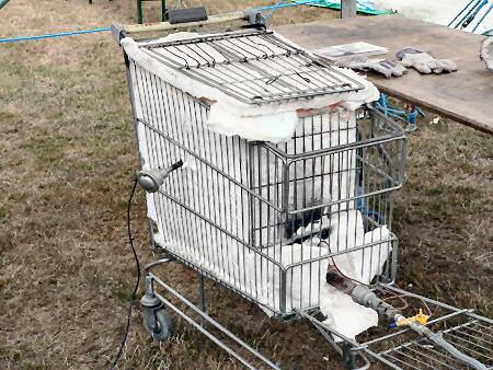 Ian Gregorys trolly kiln