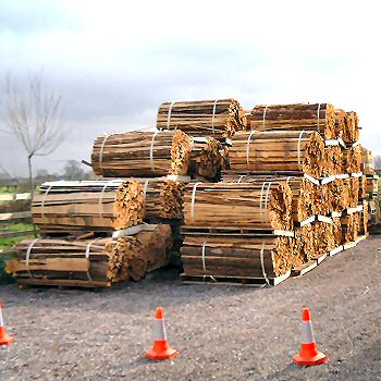 Wood pile