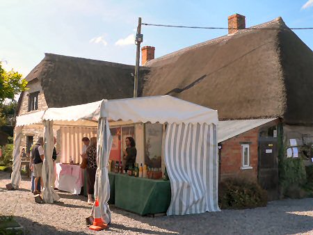 Food tent