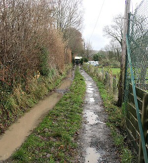 Path to the pottery